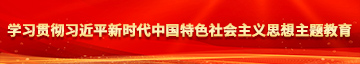 操爽我啊学习贯彻习近平新时代中国特色社会主义思想主题教育